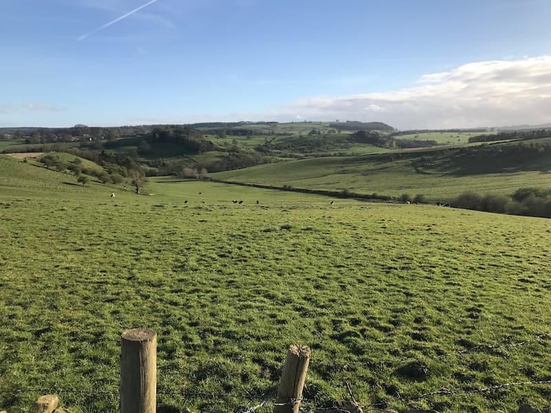 Running saved my mental health